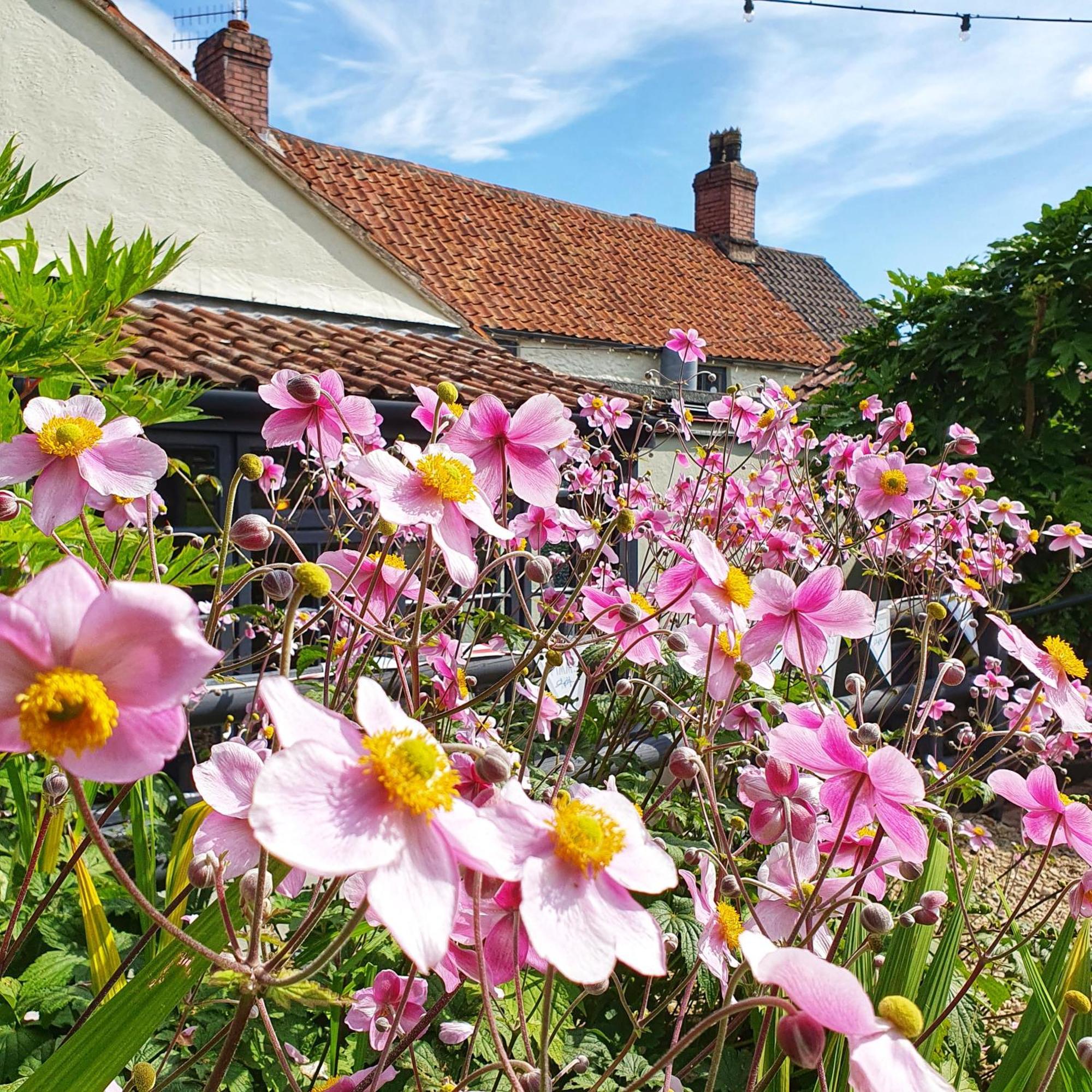 Woodview - Cosy 1840S Cottage In Chew Valley And Mendip Aonb Compton Martin Exterior foto